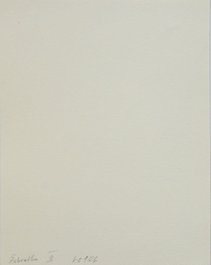 Soubor osmi linorytů - Žebračka (cena za soubor 8 linorytů s přebalem - samostatně neprodejné) - 2